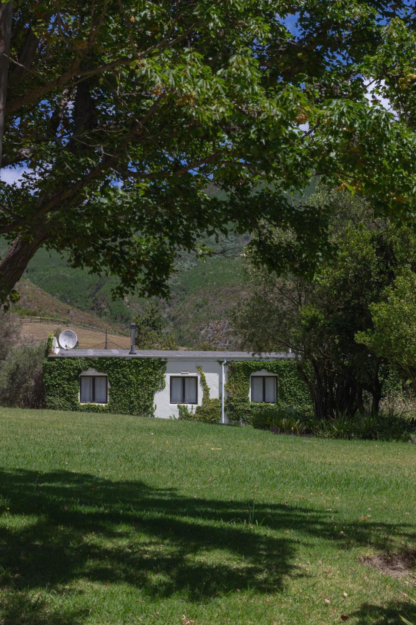 Three Streams Cottage 弗朗斯胡克 外观 照片